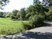 Asse