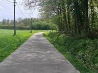 Asselkouter vanuit Dries