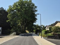 Asselscheuer from Eisenborn
