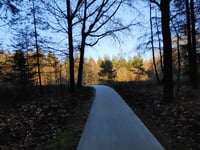 Asselsestraat from Apeldoorn