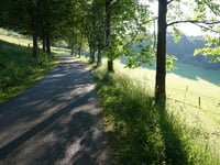 Astenbergstrasse von Westfeld