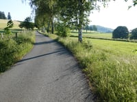 Astenbergstrasse von Westfeld