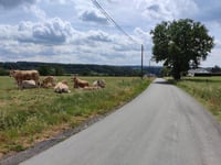 Au Delà les Monts from Fairon