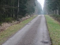 Auetshecke von Steinbach