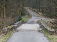 Auetshecke von Steinbach