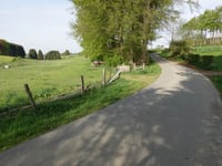 Auf dem Berg von Rocherath