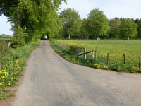 Auf dem Berg von Rocherath