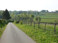 Auf dem Berg von Rocherath