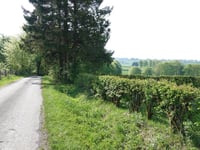 Auf dem Berg von Rocherath
