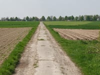 Auf dem Bopp über Teverenstrasse