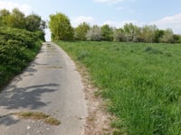 Auf dem Bopp über Teverenstrasse