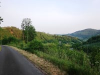 Auf dem Graftenberge da Am Grund