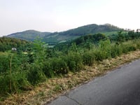 Auf dem Graftenberge da Am Grund