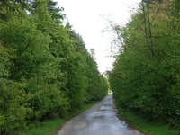 Auf dem Nierchen da Langerwehe