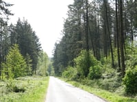 Auf dem Nierchen da Langerwehe