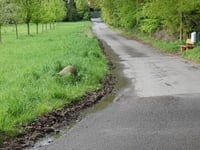 Auf dem Nierchen da Langerwehe