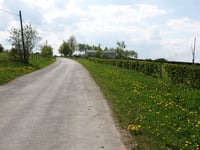 Auf dem Plon