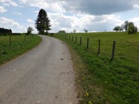 Auf dem Plon