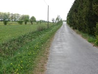 Auf dem Plon