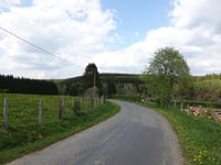 Auf dem Plon