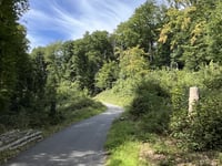 Auf der alten Eiche von Allner