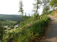 Auf der Helle über Nesselbach