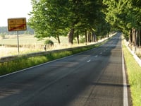 Auf der Höhe da Traben-Trarbach
