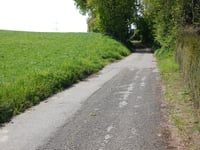Auf der Zömm von Süggerath