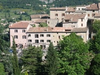 Aurel
