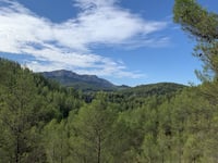 St Barthélemy from Auriol