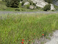 Aussois vanuit Modane
