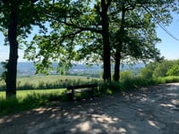 Aux Piedroux da Chênée