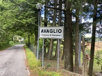 Avaglio