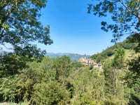 Aviatico from Sant'Erasmo
