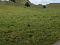 Axe Edge Moor from Glutton Bridge
