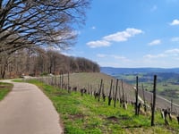 Ayler Kupp da Biebelhausen