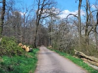 Ayler Kupp da Biebelhausen