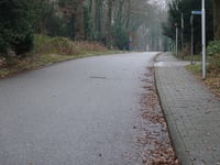Bachlaan from Dalweg