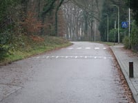 Bachlaan from Dalweg