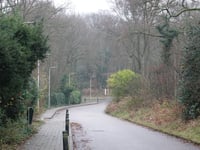 Bachlaan from Dalweg