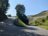 Bachstrasse von Ediger-Eller