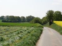 Backhaus von Honsdorf