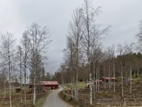Baggbo von Bjursås