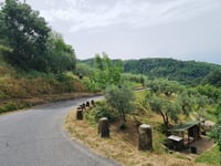 Baggio da Candeglia