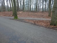 Bakenberg über Bakenbergseweg