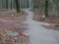 Bakenberg über Bakenbergseweg