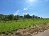 Balenberg über Balenbergstraatje
