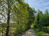 Balenberg über Balenbergstraatje