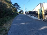 Bandeira vanuit Cabo Mondego via Rua das Violetas