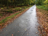 Baraque Michel über Chemin de Henseberg & Hestreux